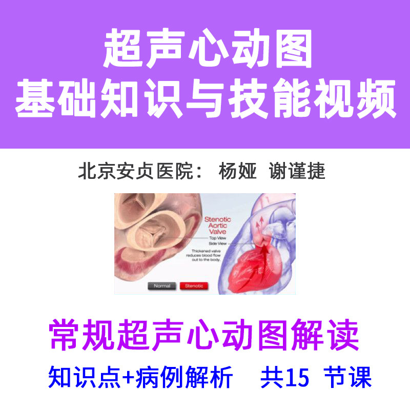 图基础知识技能解读心视频课程