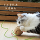猫排球手工编织猫薄荷自嗨解闷逗猫减压虫瘿果猫咪磨牙猫球猫玩具