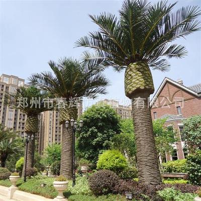 人造假海藻树椰子树人造仿真树假海枣树仿真园林景观工程仿真绿化