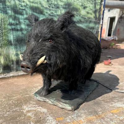 博物馆展会展览模型出售租赁公园乐园户外希腊动物野猪