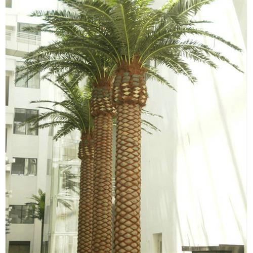 仿真植物海枣树仿真海藻树假树椰子树葵树仿真度高年不