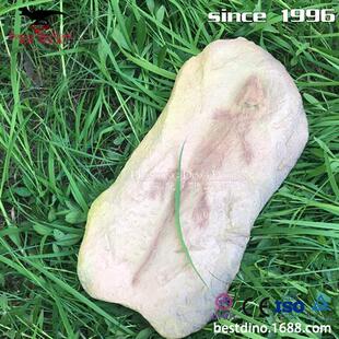 天然树脂制作恐龙化石骨架仿真动物海洋生物博物馆公园摆件.