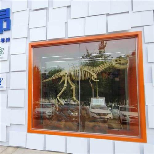 大型仿真玻璃钢化石骨头恐龙骨架树脂雕塑骨骼模型博物馆展品厂家