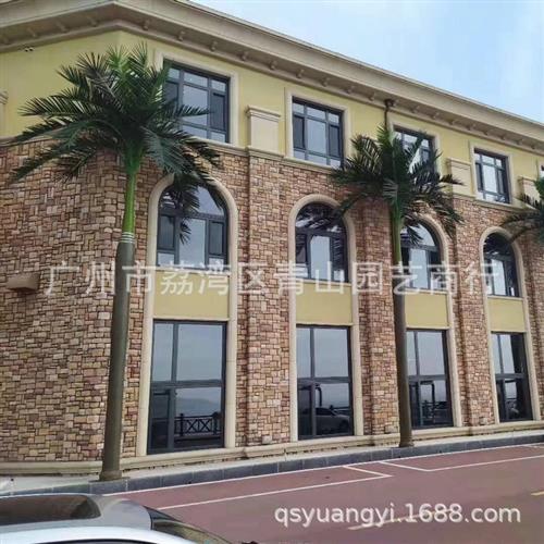 棕榈树仿真椰子树室外造型植物观景摆设假树装饰树厂家供应