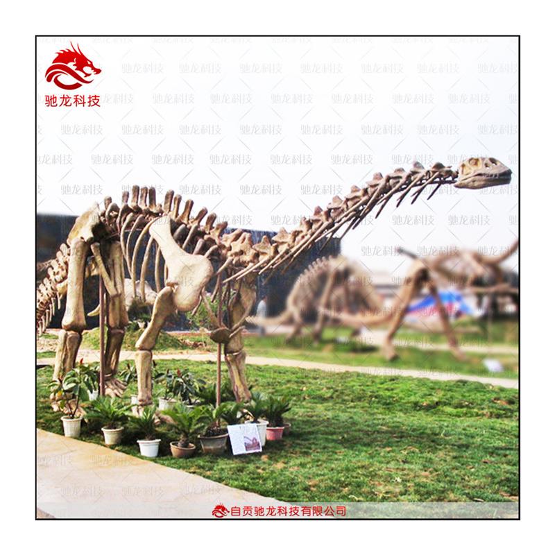 仿真梁龙骨架化石模型大型玻璃钢仿真恐龙制作博物馆科普恐龙