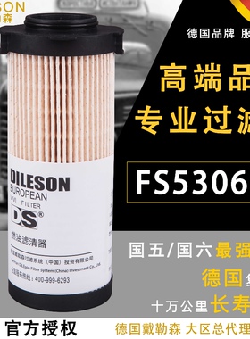 FS53060柴油滤清器LG9704552623/1配豪沃轻卡FH21550NN国六纸滤芯
