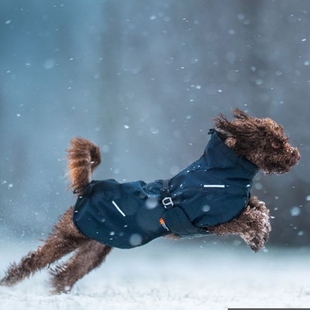 Non jacket stop wool 2.0宠物狗秋冬保暖羊毛夹克 Glacier 代购