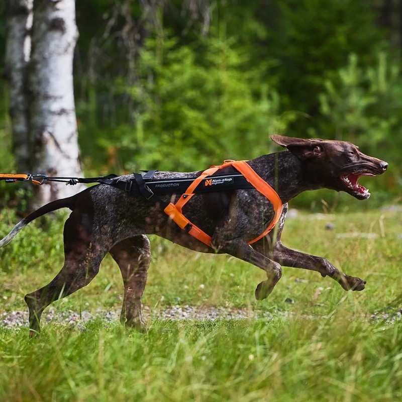 NONSTOP狗运动胸背安全带反光
