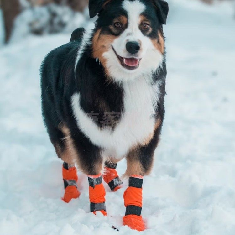 代购Non-stop Dogwear Contact bootie宠物狗狗保护爪高帮靴耐磨