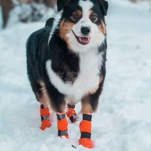 Contact 代购 Dogwear stop bootie宠物狗狗保护爪高帮靴耐磨 Non