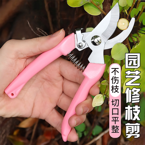 【德国进口】花枝盆景鲜花剪子