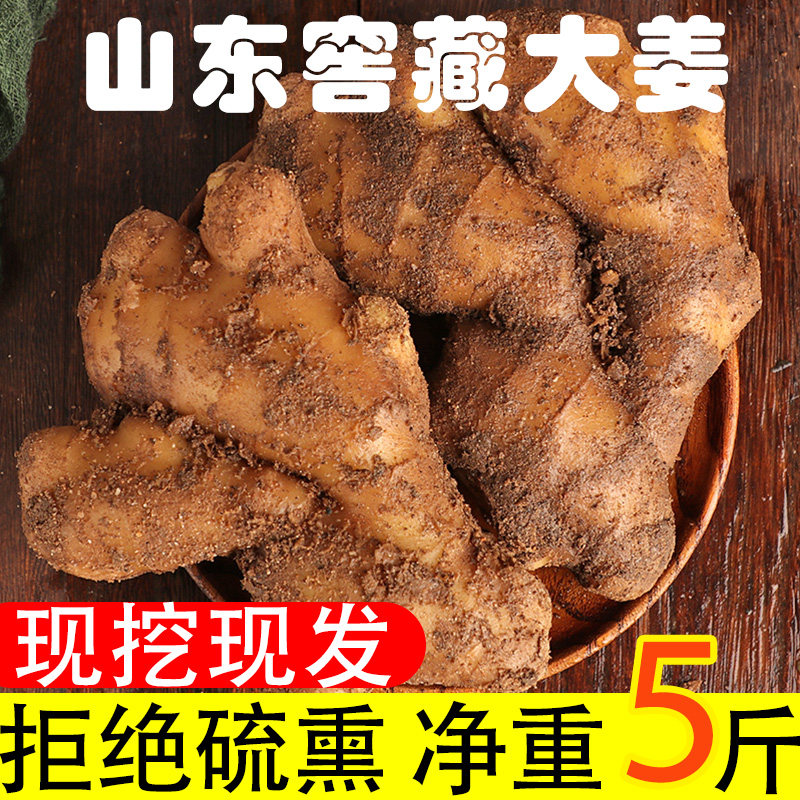 山东老姜生姜新鲜黄姜生姜农家黄姜5斤月子姜大姜非云南小黄姜|ruв категории водной мясо/свежие фрукты и овощи/еда, свежие овощи/овощной продукции, имбирь - от Buy2taobao.com для оказания профессиональной услуги покупки агента Taobao