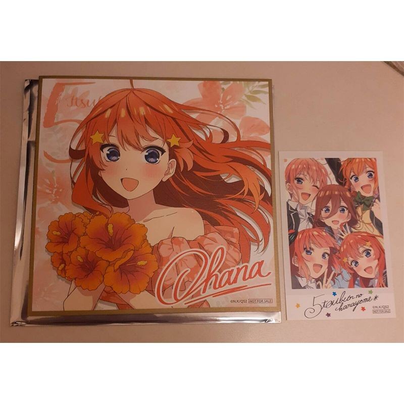 五等分的新娘中野五月星形发饰花束色纸现货特典周边全新限定收藏