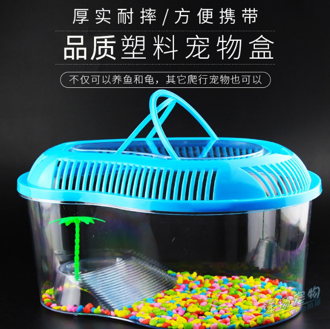 乌龟盒儿童手提塑料透明乌龟缸宠物盒小便携式芒果形宠物饲养盒子