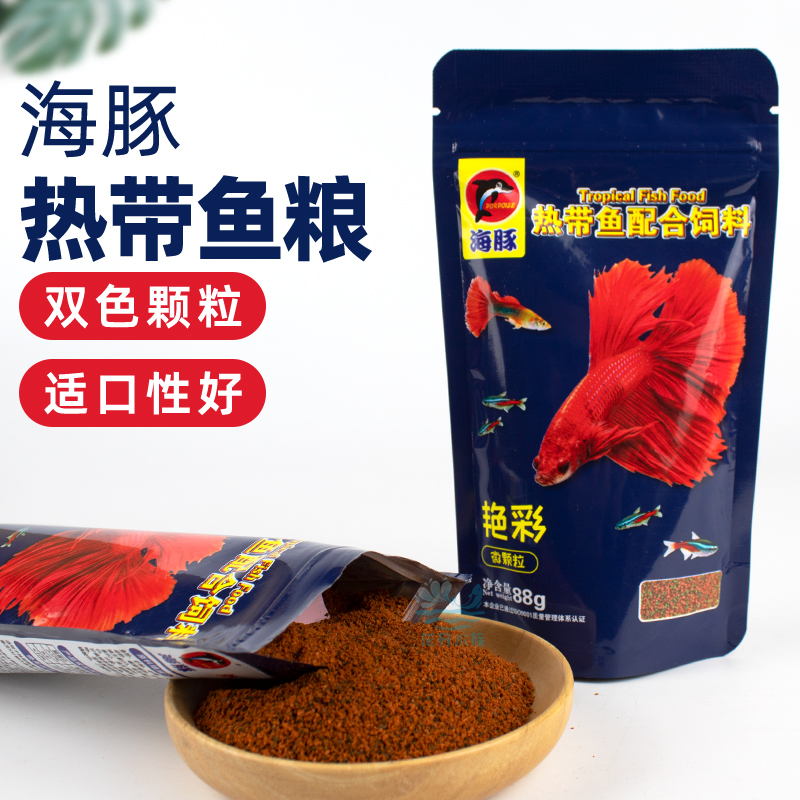 海豚热带观赏鱼不浑水高营养