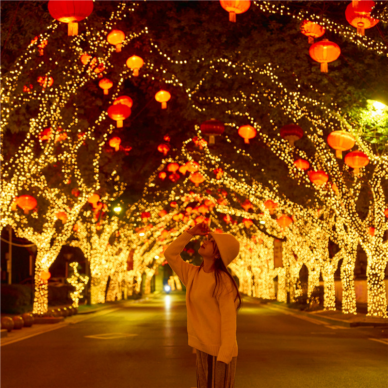 led小彩灯闪灯串灯满天星24V