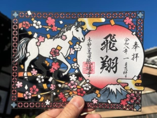 日本东京感通寺限定御朱印贴马年限定朱印帐生日礼物可配相框