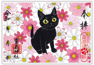 日本重藏神社限定御朱印贴黑猫朱印帐生日礼物可配相框