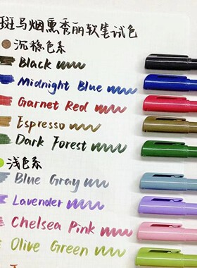 日本zebra斑马WF9软笔彩色brush英文花体字手帐书法笔烟熏秀丽笔