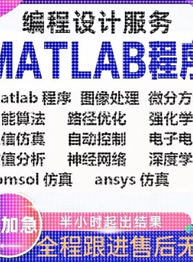 Matlab代编程序python深度机器学习神经网络图像处理通信彷真算法