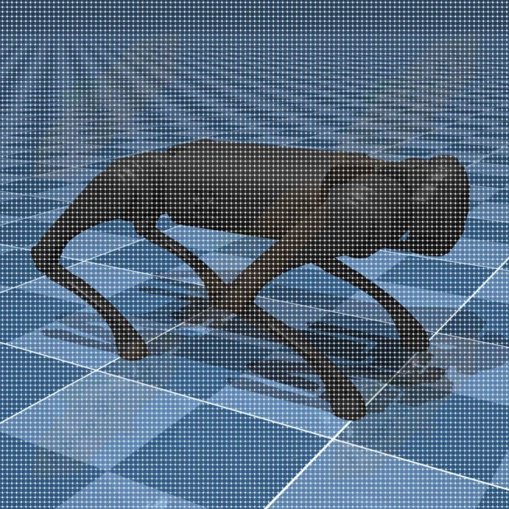 仿真开发 ros2 gazebo rviz webots mujoco isaacsim slam 导航