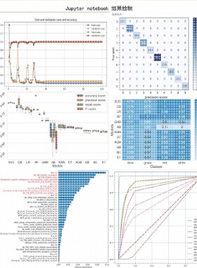 python代做程序深度学习机器学习图像处理接单代码指导代编写调试