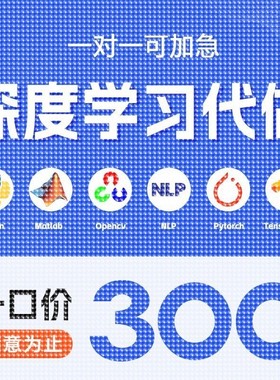 python代编程深度学习机器图像视觉接单代跑lstm代码调试编写爬虫