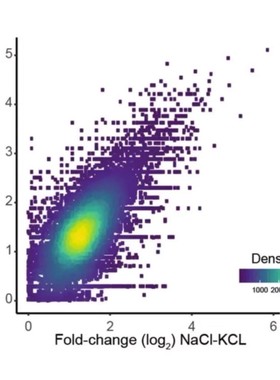 生信自学网网络毒理学+113种机器学习+SHAP分析+分子对接12分文章