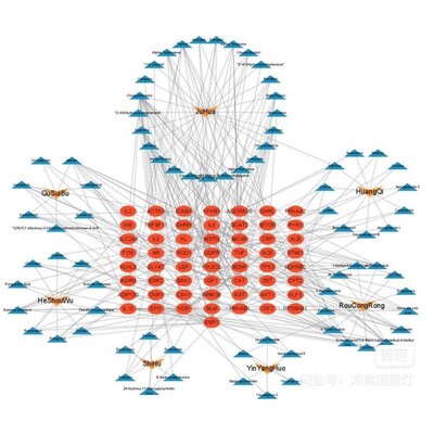 Ppi，蛋白互作，cytoscape, hub gene,网络药理学，聚类热图