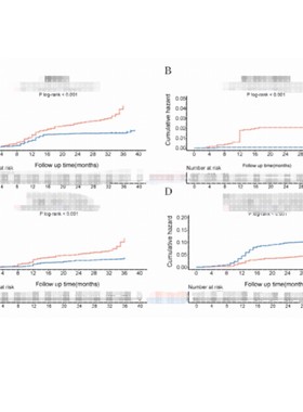 Kaplan-Meier曲线 KM曲线 Cox回归 Landmark数据分析教学