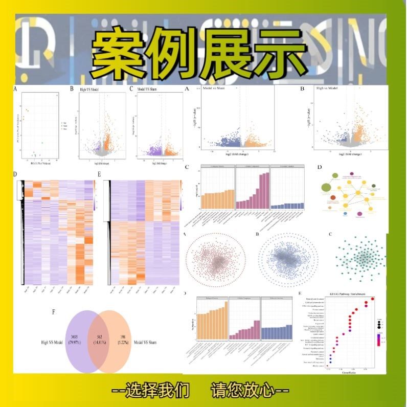 生信分析2-5分TCGA数据验证生信服务构建预后模型单细胞转录