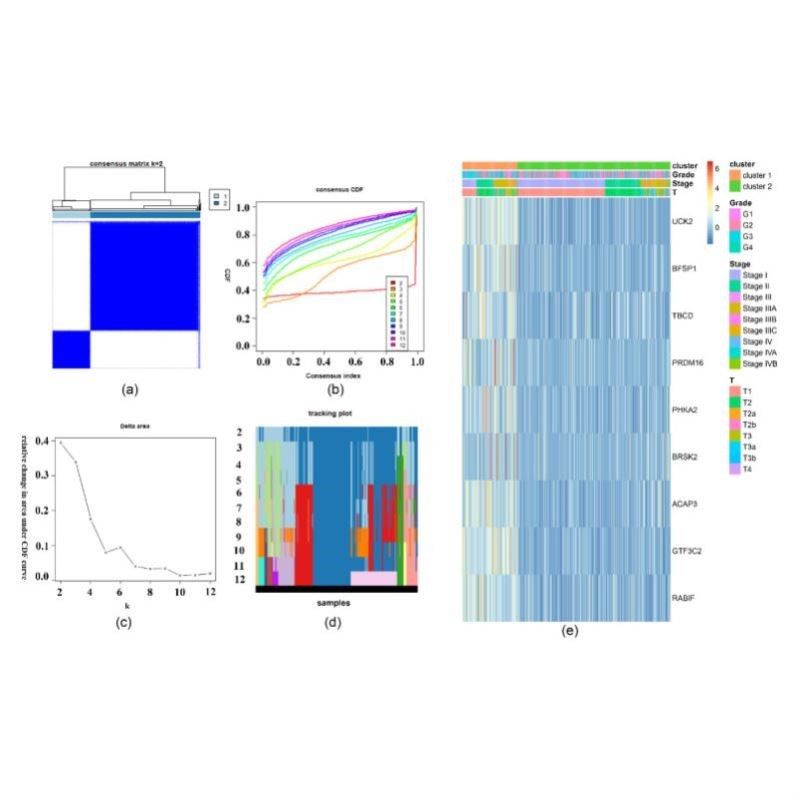 生信分析生物转录组服务2-8geo数据挖掘单细胞测序分析网络理
