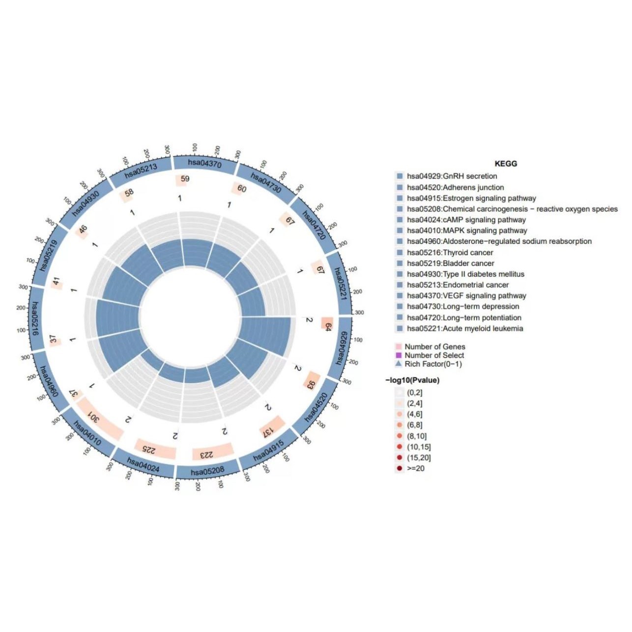 医学实验 生信分析代做医学科研服务 医学实验TCGA/GEO数据库
