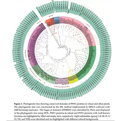 转录组可变剪切分析AS profile+psi计算可直接投稿