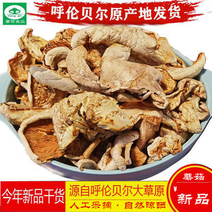 内蒙古特产呼伦贝尔产草原大白蘑花脸蘑舌尖美味大白蘑新品干货