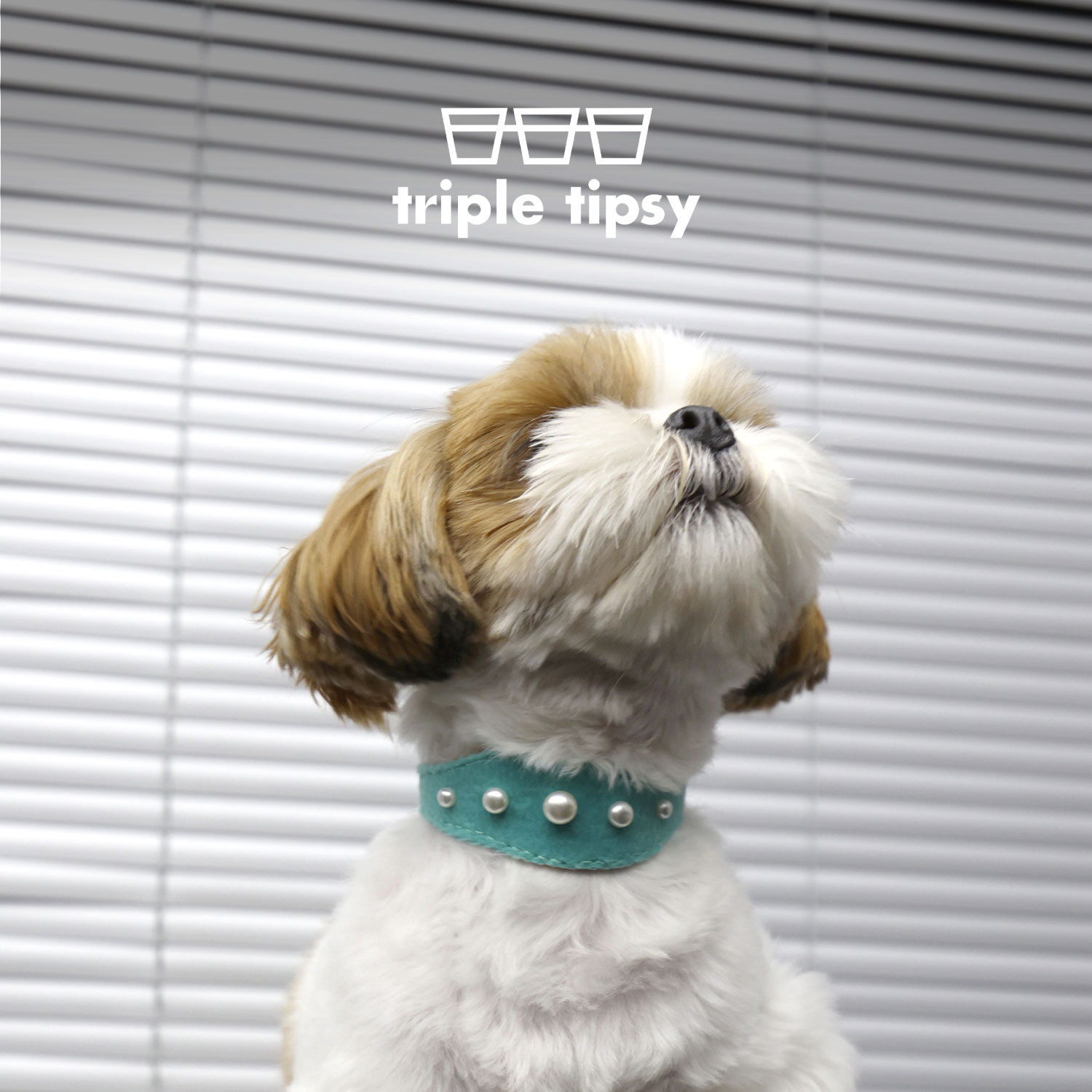 triple tipsy x PAWUP 联名 华丽珠珠宠物项圈 皮草珍珠复古华丽