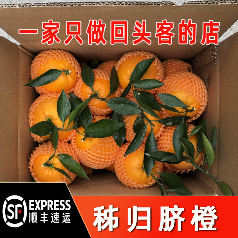 顺丰包邮秭归伦晚橙子新鲜当季脐橙春橙现摘手剥橙华农孕妇鲜果
