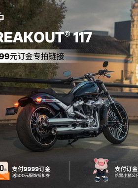 哈雷戴维森 break out突破者【新车9999元订金】