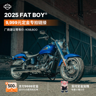 新车9999定金 Boy®肥仔 Fat 哈雷戴维森摩托车2025款