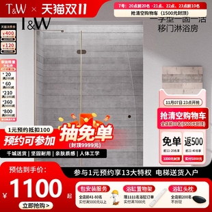 特拉维尔极窄边框淋浴房双层一字形玻璃门隔断家用浴室洗澡间浴屏