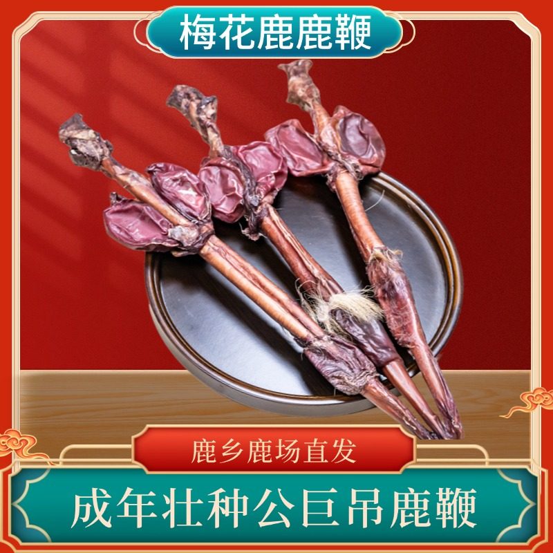 梅花鹿整枝鹿鞭正品干鹿鞭