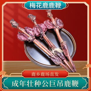 吉林梅花鹿整枝鹿鞭正品 干鹿鞭鹿鞭片男性膏滋补煲汤鹿茸