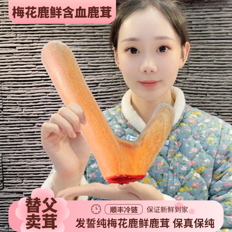十五道沟整支鲜鹿茸搭配鹿鞭煲汤鹿茸切片产地直发