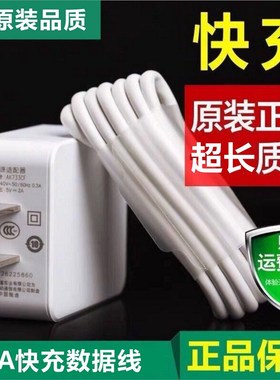 适用原厂OPPO A3 /A59s/A59 原装5V2A快充充电器手机专用数据线