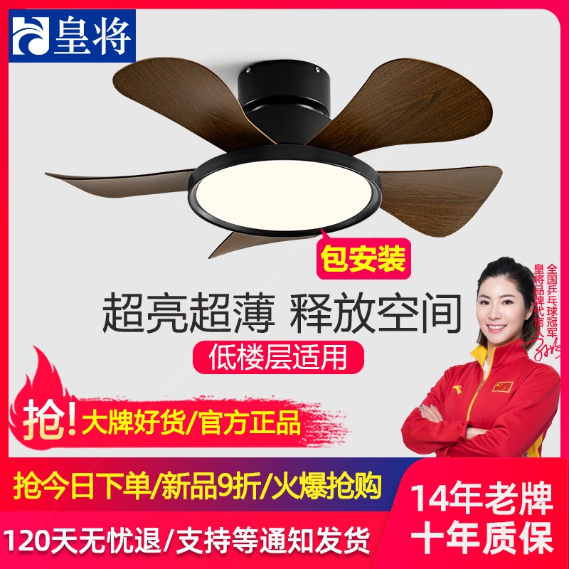 家用阳台过道书房带电风扇吊灯吸