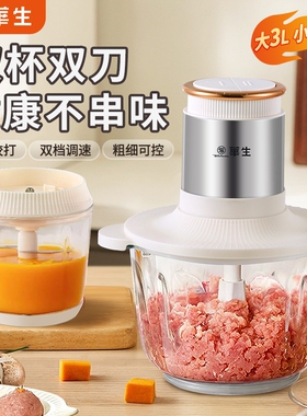 wahson/华生家用搅拌双杯双刀绞