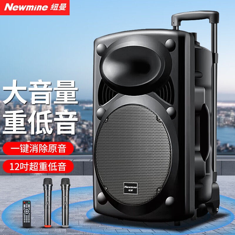 纽曼B12广场舞音响12英寸户外大