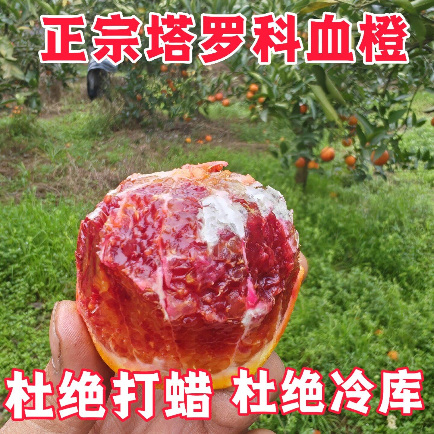 四川血橙资中塔罗科当季新鲜水果中华红心橙子产地直发整箱10斤,水产肉类/新鲜蔬果/熟食,橙,淘宝优惠券,粉丝福利购,淘宝优惠卷