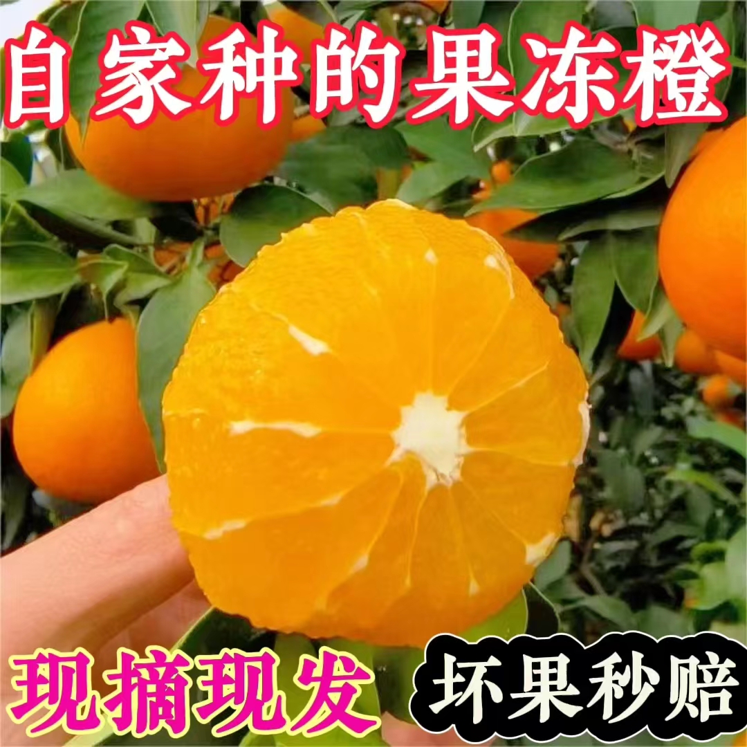 顺丰包邮四川38号爱媛果冻橙应季新鲜水果手剥橙子10斤大果整箱