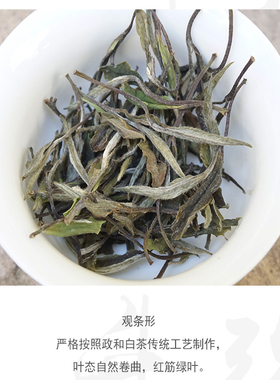 政和白茶2022年一级白牡丹政和大白茶毫香蜜韵滋味鲜爽醇厚